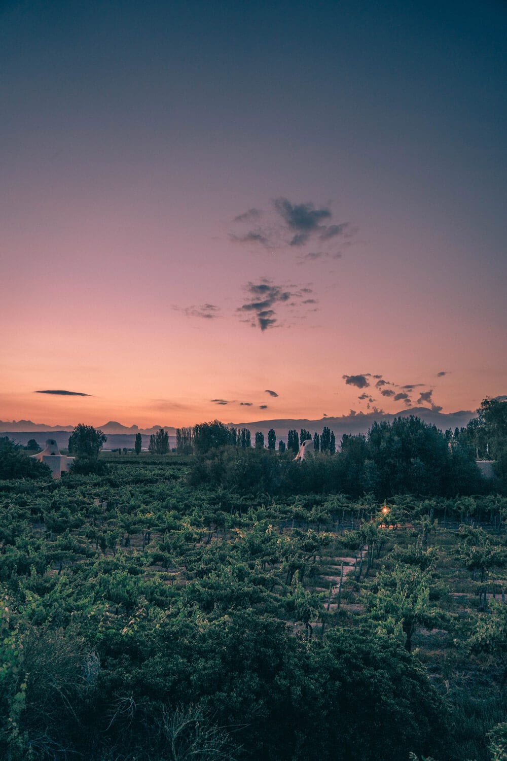 Cavas-Wine-lodge-vineyards-and-lodges-