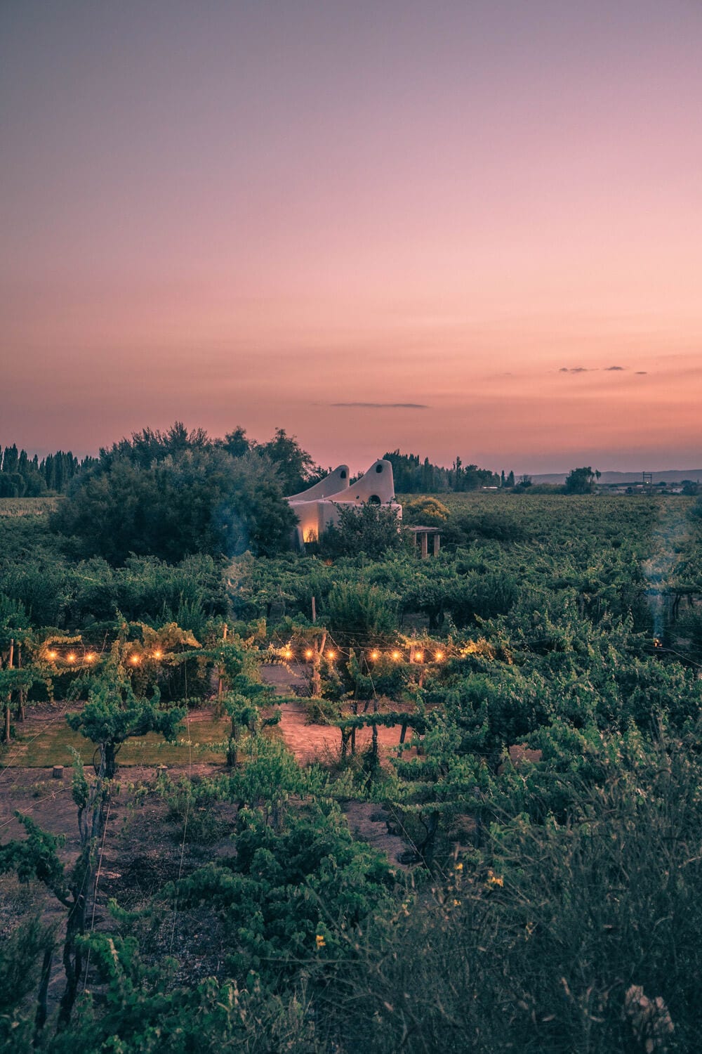Cavas-wine-lodge-lodges-